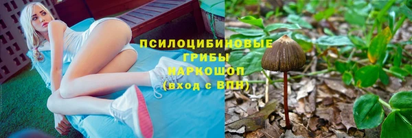 стаф Балахна