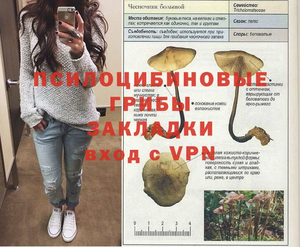 стаф Балахна